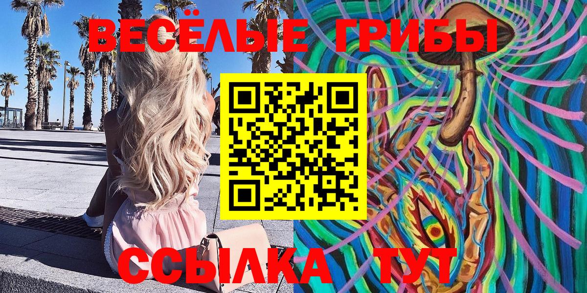 Псилоцибиновые грибы Psilocybe  Галлюциногенные грибы Psilocybe  Вход с VPN  Майкоп 