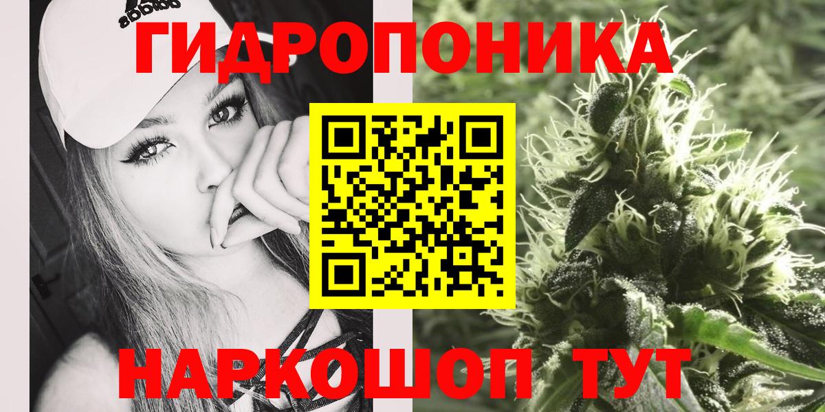 Майкоп  Конопля сатива  Вход с VPN  Марихуана план  Каннабис Ganja 